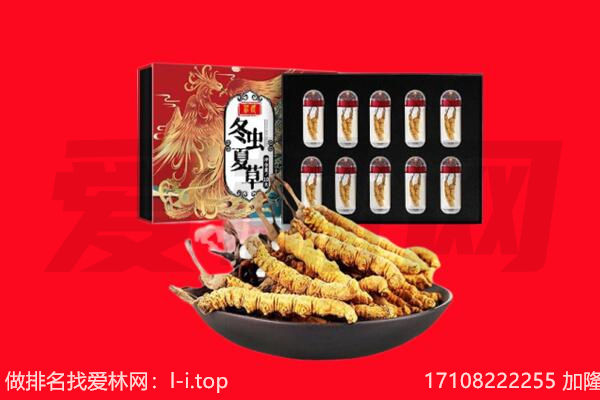 承德兴隆县回收虫草.jpg